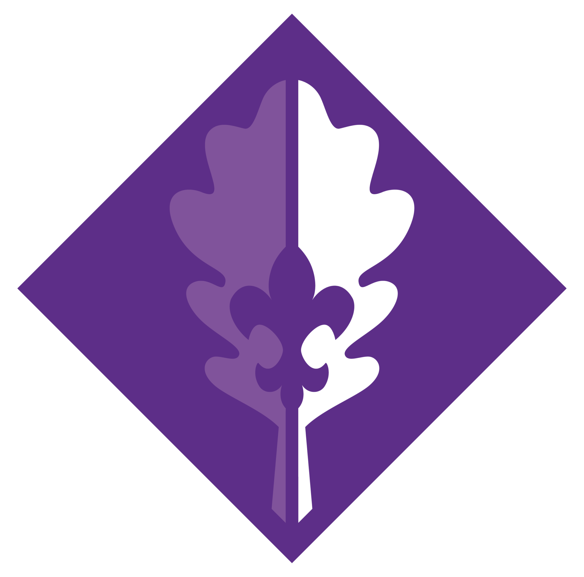 Logo Starszyzny